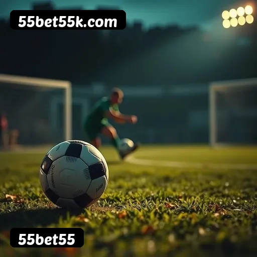 Níveis do programa VIP da 55bet55